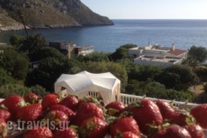 Alkyonis Apartments_accommodation_in_Apartment_Dodekanessos Islands_Kalimnos_Kalimnos Chora