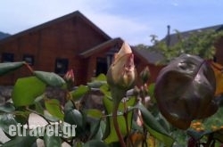 Pasithea hollidays Pasithea hollidays