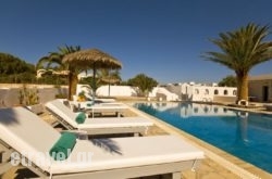 Alafouzos Studios hollidays