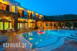 Paradision Hotel hollidays Paradision Hotel hollidays