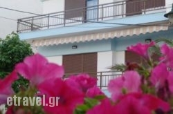 Antique The Hotel hollidays