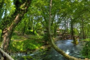 Hotel Vermion_travel_packages_in_Macedonia_Imathia_Naousa