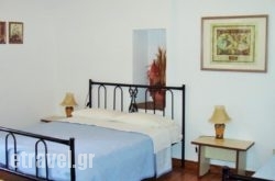 To Petrino hollidays