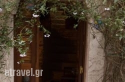 The Pounti hollidays The Pounti hollidays