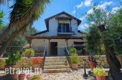 Agrielia hollidays Agrielia hollidays