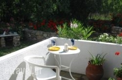 Kosmos Studios hollidays Kosmos Studios hollidays