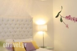 Aegean Of Amorgos hollidays Aegean Of Amorgos hollidays