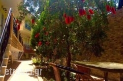 Golden View Studios hollidays