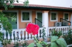 Theodora Studios hollidays Theodora Studios hollidays