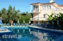 Anaxosrdens hollidays Anaxosrdens hollidays