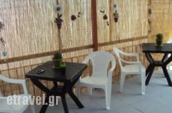 Nik The Greek hollidays Nik The Greek hollidays