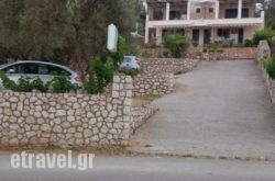 To Ampelaki hollidays