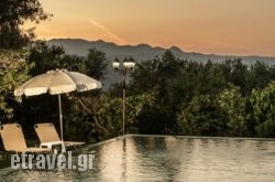 Majestic Apartments hollidays Majestic Apartments hollidays