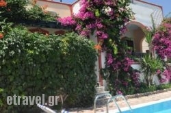 Studios Irineos hollidays Studios Irineos hollidays