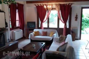 Arachova Houses_accommodation_in_Hotel_Central Greece_Fokida_Delfi