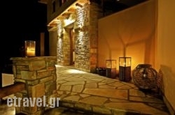 Lions Nine hollidays