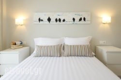 Sonnenhaus hollidays