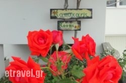 Kamakaris Rooms hollidays