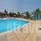 Sam'Studios_accommodation_in_Hotel_Dodekanessos Islands_Rhodes_Faliraki