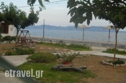 Ktima Develekou hollidays Ktima Develekou hollidays