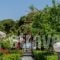Vicky Studios and Apartments_best deals_Apartment_Aegean Islands_Lesvos_Polihnitos