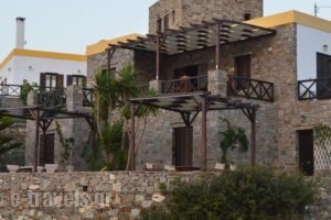 Syrou Lotos_accommodation_in_Hotel_Cyclades Islands_Syros_Posidonia