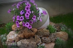 Kristal Hotel_lowest prices_in_Hotel_Aegean Islands_Thasos_Thasos Chora