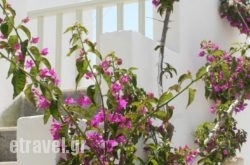 Korali Hotel And Apartments hollidays