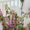 Korali Hotel And Apartments hollidays