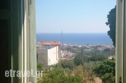 Amazones Sun Studios hollidays Amazones Sun Studios hollidays