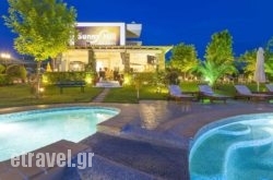 Sunny Hill Studios hollidays Sunny Hill Studios hollidays