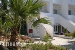 Mandorla Apartments hollidays Mandorla Apartments hollidays