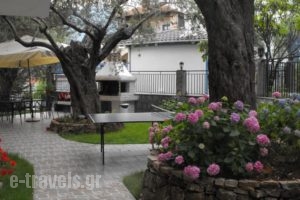 Studios Apollon_best prices_in_Hotel_Aegean Islands_Thasos_Thasos Chora