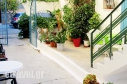 Katerina hollidays Katerina hollidays