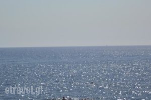 Lagonas View Studios_best prices_in_Hotel_Dodekanessos Islands_Rhodes_Kallithea