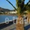Angelino Rooms_accommodation_in_Room_Cyclades Islands_Syros_Galissas