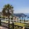Niforos Apartments_best deals_Apartment_Ionian Islands_Kefalonia_Kefalonia'st Areas