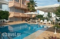 Toulipa 2 hollidays Toulipa 2 hollidays