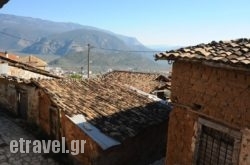 Omoplinthos hollidays Omoplinthos hollidays