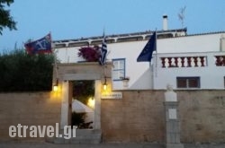 Ippokampos hollidays Ippokampos hollidays