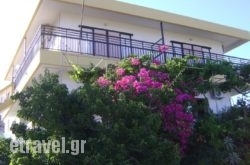 Panormitis  Studios hollidays