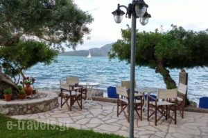Zois Apartments_holidays_in_Apartment_Ionian Islands_Lefkada_Vasiliki