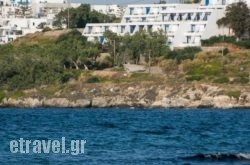 Hippocampus Hotel hollidays