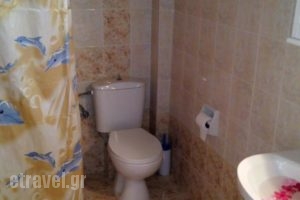 Akis Studio_holidays_in_Hotel_Ionian Islands_Zakinthos_Alykes