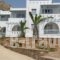 Galini Studios_holidays_in_Hotel_Cyclades Islands_Naxos_Mikri Vigla