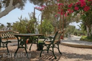 Galini Studios_lowest prices_in_Hotel_Cyclades Islands_Naxos_Mikri Vigla