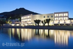 Patmos Aktis Suites & Spa_accommodation_in_Hotel_Dodekanessos Islands_Patmos_Patmos Chora