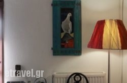 Escape Cottage hollidays