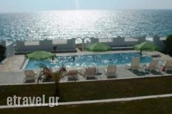 Elenis Studios hollidays