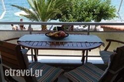 Arhontia hollidays Arhontia hollidays